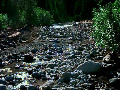 stream cobble habitat, Rocky Creek, south of Mt. Baker, Washington