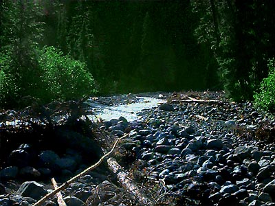 Rocky Creek, south of Mt. Baker, Washington