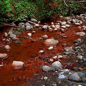iron ferrous hydroxide yellow boy stain in stream bed, tributary of Rocky Creek, south of Mount Baker, Washington
