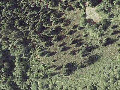 aerial photo of Shadow Lake Bog, King County, Washington