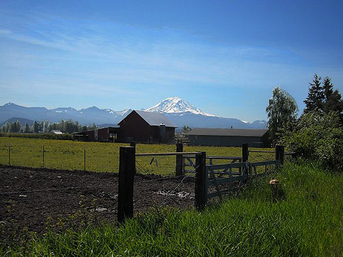 scenic view of Mount Rainier from east of Enumclaw, Washington