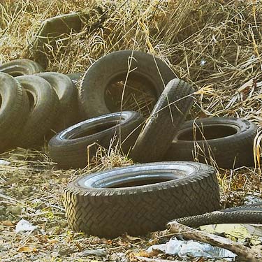 discarded tires, Skookumchuck River near Waunch Prairie, S edge of Thurston County, Washington