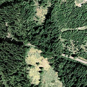 2005 aerial photo, Smith Prairie, Thurston County, Washington