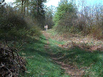 Soos Creek Trail, King County, Washington