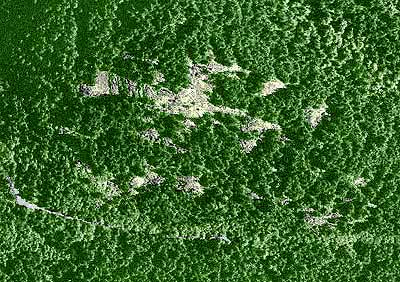 aerial photo, hillside bald meadows, Sugarloaf, Fidalgo Island, Washington