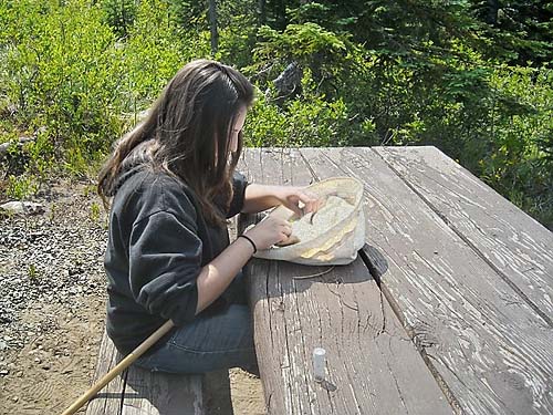 Shannon Bowley examines a tree-beat sample, Sun Top (mountain), Pierce County, Washington