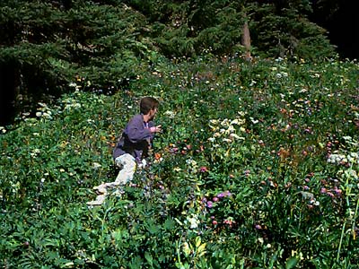 Laurel Ramseyer in meadow, trail to Taneum Lake, Quartz Mountain Road, Kittitas County, Washington