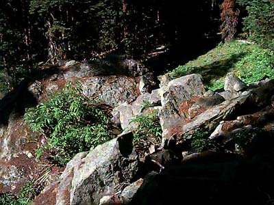 rock talus along trail to Taneum Lake, Quartz Mountain Road, Kittitas County, Washington