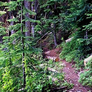 trail to Taneum Lake, Quartz Mountain Road, Kittitas County, Washington