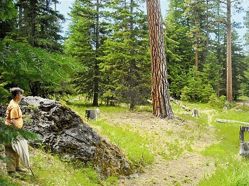 Laurel Ramseyer with ponderosa pine tree, Thunder Lake, Yakima County, Washington