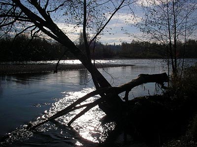 Cowlitz River south of Toledo, Washington