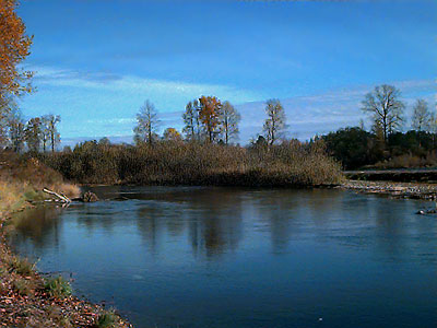 bank and island, Cowlitz River south of Toledo, Washington