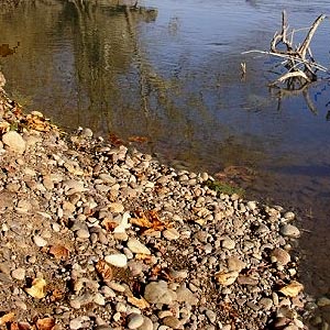 stony shore of Cowlitz River south of Toledo, Washington
