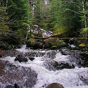 cascade waterfall on Tolmie Creek, Pierce County, Washington