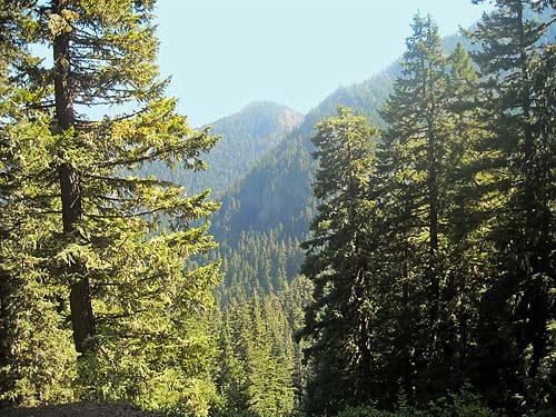 adjacent ridge viewed from Mt. Townsend trail, Jefferson County, Washington