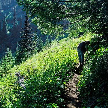 Rod Crawford on Mt. Townsend trail, Jefferson County, Washington
