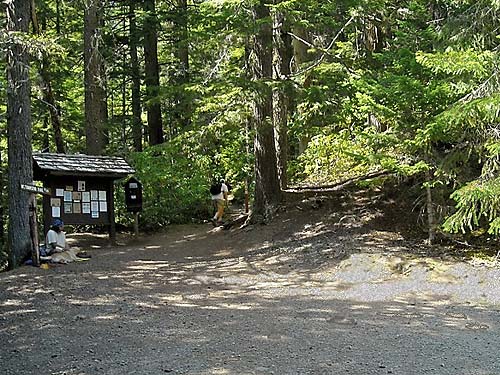trailhead of Mt. Townsend trail, Jefferson County, Washington