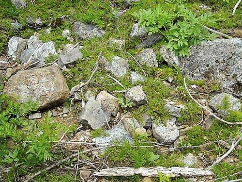 stones in forest at Tucquala Lake, north Kittitas County, Washington