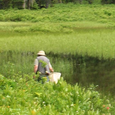 Rod Crawford collecting along the shore of Tucquala Lake, northern Kittitas County, Washington