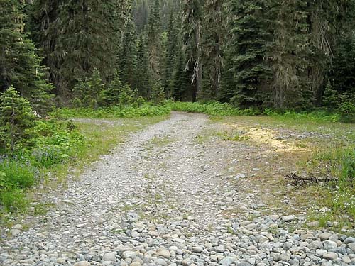 side road by Scatter Creek south of Tucquala Lake, northern Kittitas County, Washington