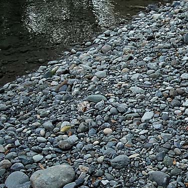 cobbles on bank of Boulder River near its mouth, Snohomish County, Washington