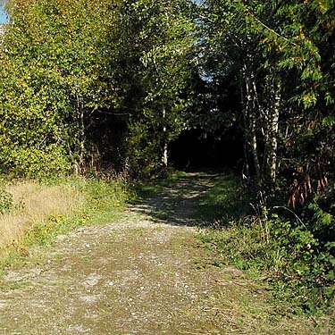 railroad right-of-way (future trail), Tulker, Snohomish County, Washington