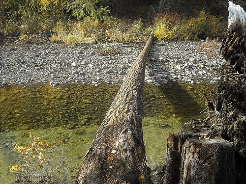 log across Teanaway River, Teanaway Campground, Kittitas County, Washington