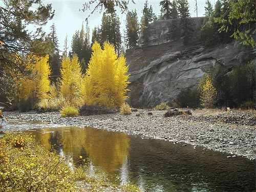 fall color on the Teanaway River, Teanaway Campground, Kittitas County, Washington