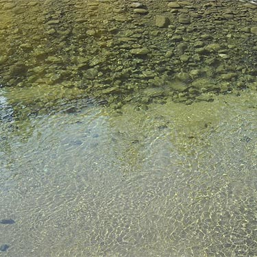clear water of Teanaway River, Teanaway Campground, Kittitas County, Washington