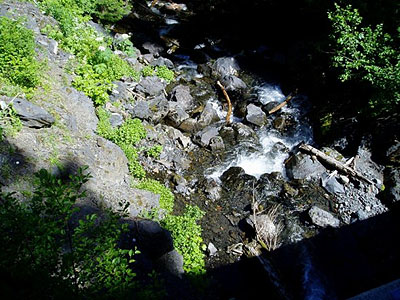 Grouse Creek tributary, Whatcom County, Washington