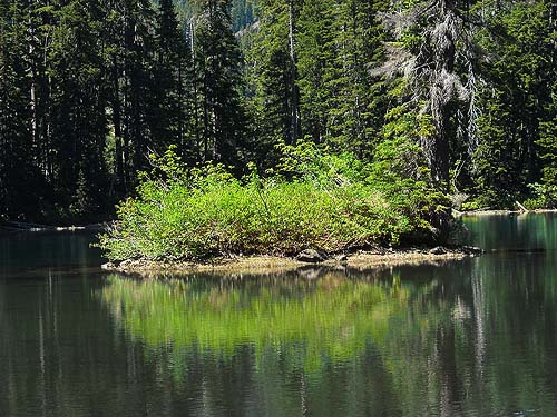 Island in upper lake, Rock Rabbit Lakes, Kittitas County, Washington