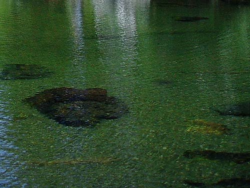Clear water, Rock Rabbit Lakes, Kittitas County, Washington