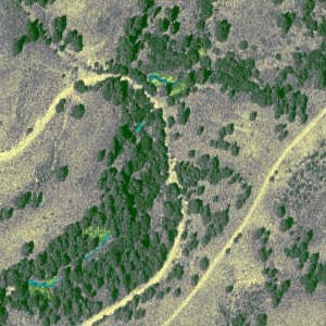 aerial view (1996) of Wanacut Creek collecting site, SE of Riverside, Okanogan County, Washington