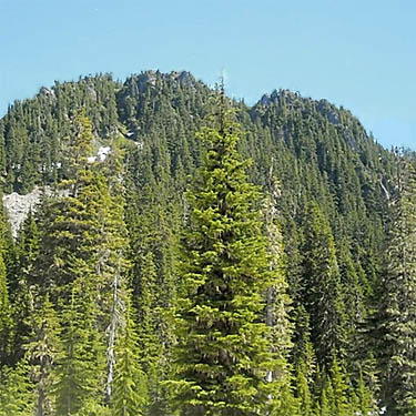 Anderson Butte from meadow on Watson Lakes trail, Whatcom County, Washington