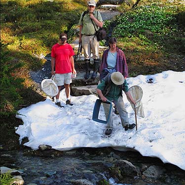 Markku, Laurel, Jerry and Rod negotiating snowbank, meadow on Watson Lakes trail, Whatcom County, Washington