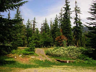 habitats around parking lot for Whitepine Trail, Chelan County, Washington