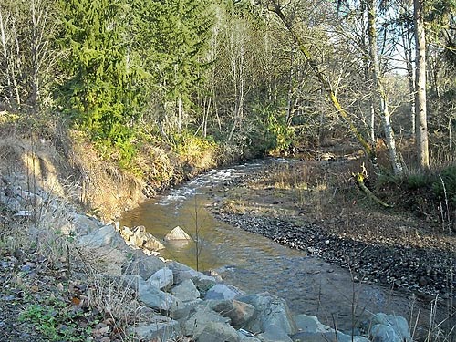 Creek in Wilkeson Creek County Park, Pierce County, Washington