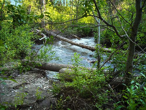 Nason Creek at site of former Fish Pond Campground, Chelan County, Washington