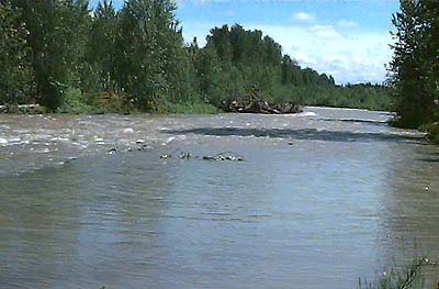 White River NW of Buckley, Pierce County, Washington