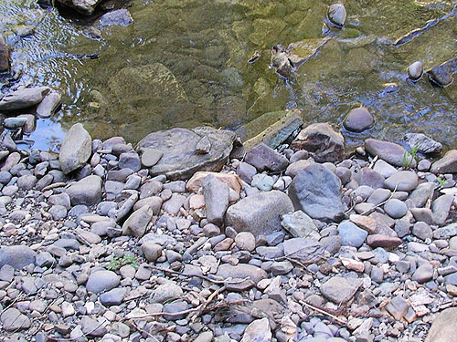 river bank cobbles near Four Way Meadow, Little Naches River, Kittitas County, Washington