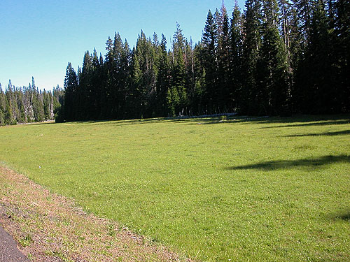 Four Way Meadow, Little Naches River, Kittitas County, Washington