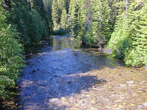 river at bridge near Four Way Meadow, Little Naches River, Kittitas County, Washington