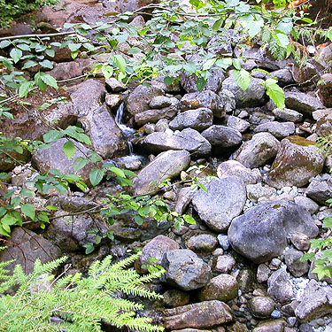 Eightmile Creek near 8 Mile Creek Trailhead, Snohomish County, Washington