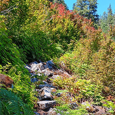 Trail crosses talus, 8 Mile Creek Trail, Snohomish County, Washington