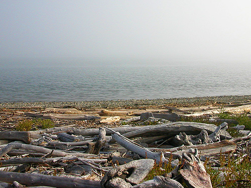 landward beach, Ala Spit County Park, Whidbey Island, Washington