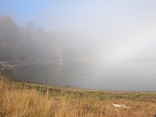 fog starts to lift, Ala Spit County Park, Whidbey Island, Washington