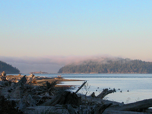 fog returns in late afternoon to Ala Spit County Park, Whidbey Island, Washington
