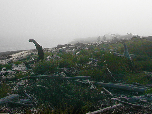 sandspit in fog, Ala Spit County Park, Whidbey Island, Washington