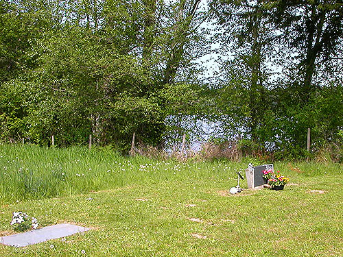 habitats at edge of Alder Cemetery, Alder Reservoir, Pierce County, Washington