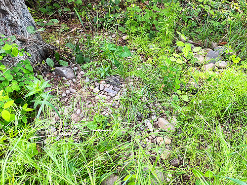 pile of rocks on ground, Lincoln Park, Port Angeles, Washington